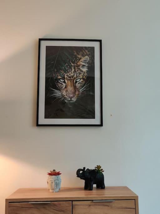Apartamento La Jungle Urbaine Avec Garage Prive & Climatisation Perpiñán Exterior foto